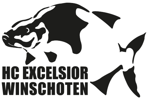 Hcexcelsior.nl